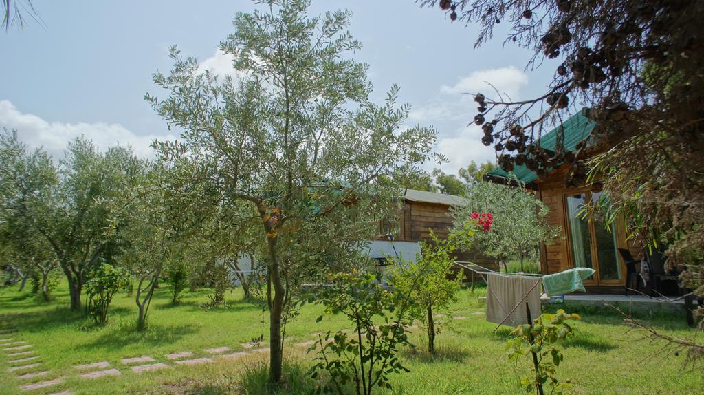 Agriturismo Tres Montes Sorso Εξωτερικό φωτογραφία